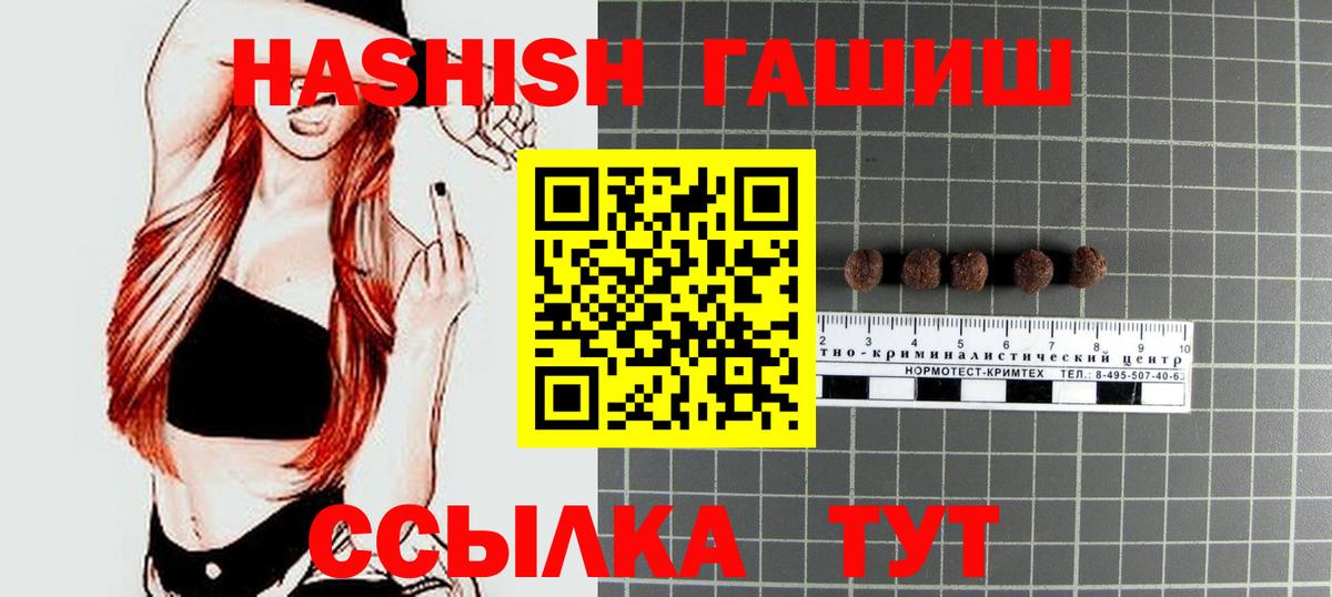 Можга  ГАШИШ Изолятор  Вход с VPN 