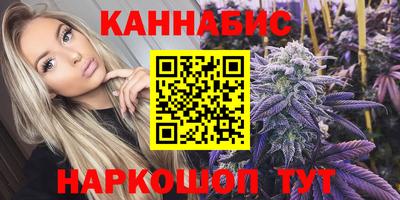 шишки Изобильный