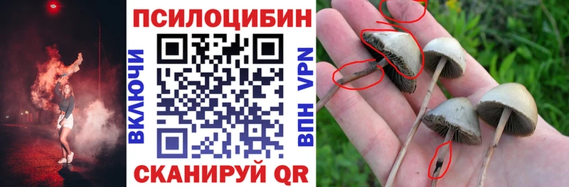 Галлюциногенные грибы ЛСД  Можга 