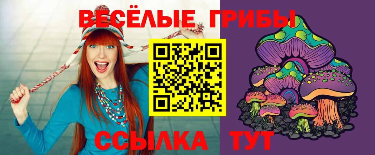 Псилоцибиновые грибы MAGIC MUSHROOMS Можга