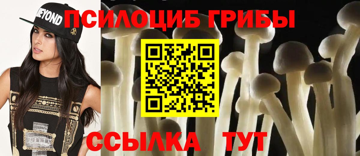 Можга  сколько стоит  Вход с VPN  Псилоцибиновые грибы Psilocybe 